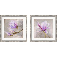Framed 'Magnolia on Silver Leaf 2 Piece Framed Art Print Set' border=
