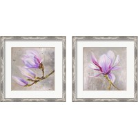 Framed 'Magnolia on Silver Leaf 2 Piece Framed Art Print Set' border=