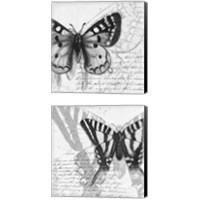 Framed 'Butterfly Studies 2 Piece Canvas Print Set' border=