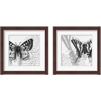 Framed 'Butterfly Studies 2 Piece Framed Art Print Set' border=