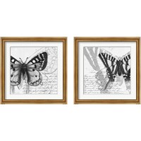 Framed Butterfly Studies 2 Piece Framed Art Print Set