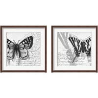 Framed 'Butterfly Studies 2 Piece Framed Art Print Set' border=