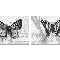 Framed 'Butterfly Studies 2 Piece Art Print Set' border=