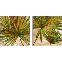 Framed 'New Palmera Take Two 2 Piece Art Print Set' border=