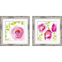 Framed 'Delicate Rose 2 Piece Framed Art Print Set' border=