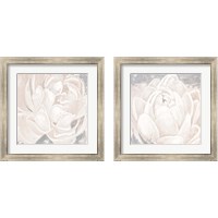 Framed 'White Grey Flower  2 Piece Framed Art Print Set' border=