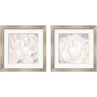 Framed 'White Grey Flower  2 Piece Framed Art Print Set' border=