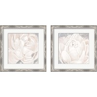 Framed 'White Grey Flower  2 Piece Framed Art Print Set' border=