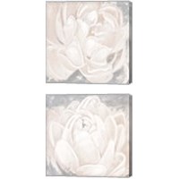 Framed 'White Grey Flower  2 Piece Canvas Print Set' border=