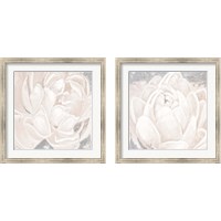 Framed 'White Grey Flower  2 Piece Framed Art Print Set' border=