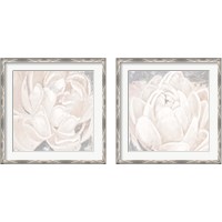 Framed White Grey Flower  2 Piece Framed Art Print Set