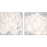 Framed 'White Grey Flower  2 Piece Art Print Set' border=