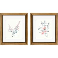 Framed Flowers on White Contemporary Bright 2 Piece Framed Art Print Set