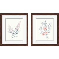 Framed Flowers on White Contemporary Bright 2 Piece Framed Art Print Set