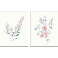 Framed Flowers on White Contemporary Bright 2 Piece Art Print Set