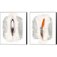 Framed Simple Feather 2 Piece Canvas Print Set