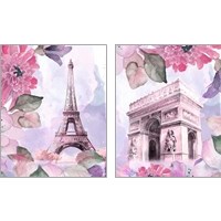 Framed Parisian Blossoms 2 Piece Art Print Set