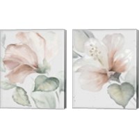Framed Neutral Hibiscus 2 Piece Canvas Print Set