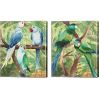 Framed 'Tropical Birds 2 Piece Canvas Print Set' border=