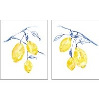 Framed 'Watercolor Lemons 2 Piece Art Print Set' border=