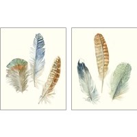 Framed 'Watercolor Feathers 2 Piece Art Print Set' border=