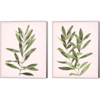 Framed 'Soft Pink Leaves 2 Piece Canvas Print Set' border=