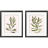 Framed Soft Pink Leaves 2 Piece Framed Art Print Set