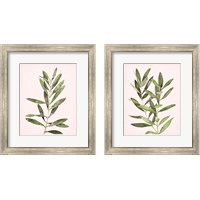 Framed 'Soft Pink Leaves 2 Piece Framed Art Print Set' border=