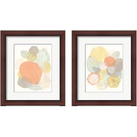 Framed Abstract Succulents 2 Piece Framed Art Print Set