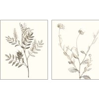 Framed 'Neutral Botanical Study 2 Piece Art Print Set' border=