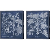 Framed Besler Leaves in Indigo 2 Piece Canvas Print Set