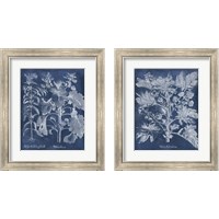 Framed 'Besler Leaves in Indigo 2 Piece Framed Art Print Set' border=