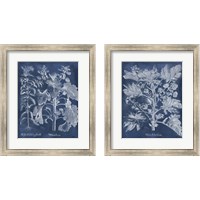 Framed Besler Leaves in Indigo 2 Piece Framed Art Print Set
