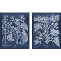 Framed Besler Leaves in Indigo 2 Piece Art Print Set