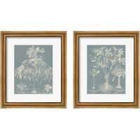 Framed 'Delicate Besler Botanical  2 Piece Framed Art Print Set' border=