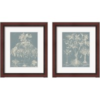 Framed Delicate Besler Botanical  2 Piece Framed Art Print Set