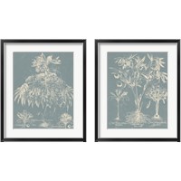 Framed Delicate Besler Botanical  2 Piece Framed Art Print Set