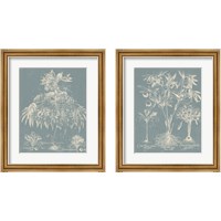 Framed Delicate Besler Botanical  2 Piece Framed Art Print Set