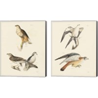 Framed Birds of Prey 2 Piece Canvas Print Set