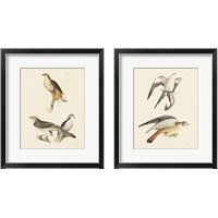 Framed 'Birds of Prey 2 Piece Framed Art Print Set' border=