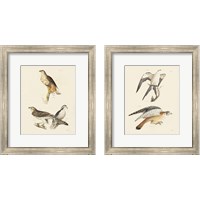 Framed 'Birds of Prey 2 Piece Framed Art Print Set' border=