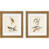 Framed 'Birds of Prey 2 Piece Framed Art Print Set' border=