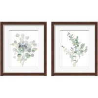 Framed 'Eucalyptus Cool 2 Piece Framed Art Print Set' border=