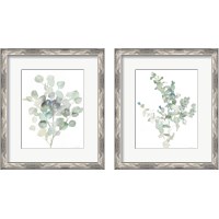 Framed 'Eucalyptus Cool 2 Piece Framed Art Print Set' border=