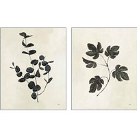 Framed 'Botanical Study 2 Piece Art Print Set' border=