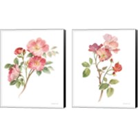 Framed Sprigs of Summer on White 2 Piece Canvas Print Set