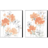 Framed Blush Peonies 2 Piece Canvas Print Set