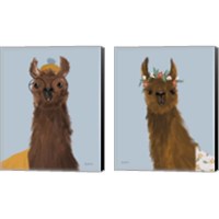 Framed Delightful Alpacas 2 Piece Canvas Print Set
