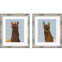 Framed 'Delightful Alpacas 2 Piece Framed Art Print Set' border=