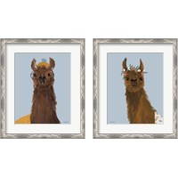 Framed 'Delightful Alpacas 2 Piece Framed Art Print Set' border=